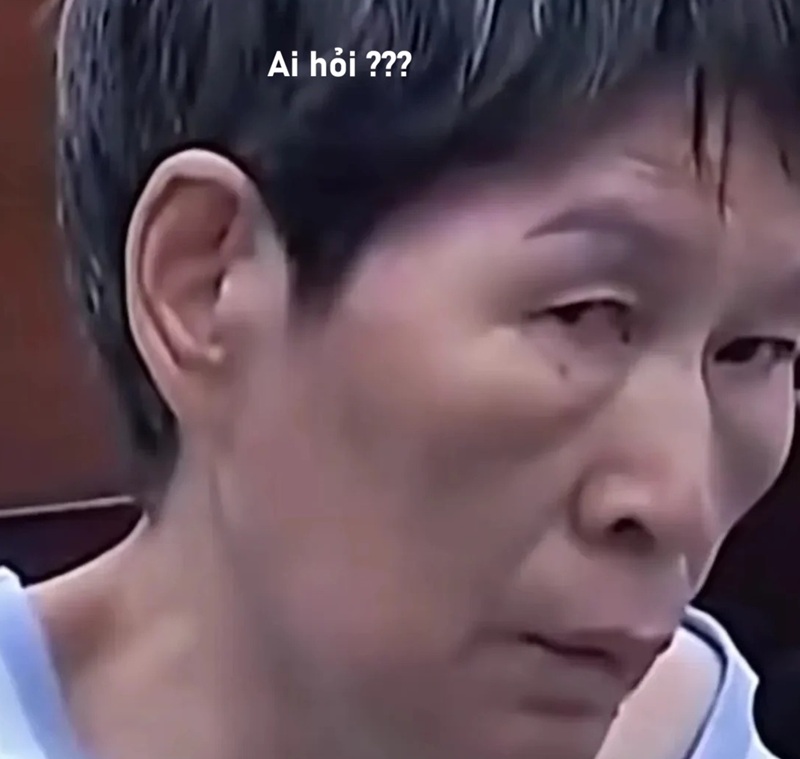 meme ai hỏi 29