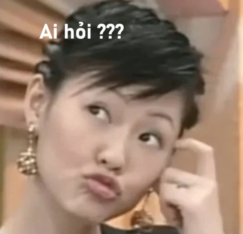 meme ai hỏi 3