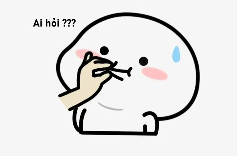 meme ai hỏi 30