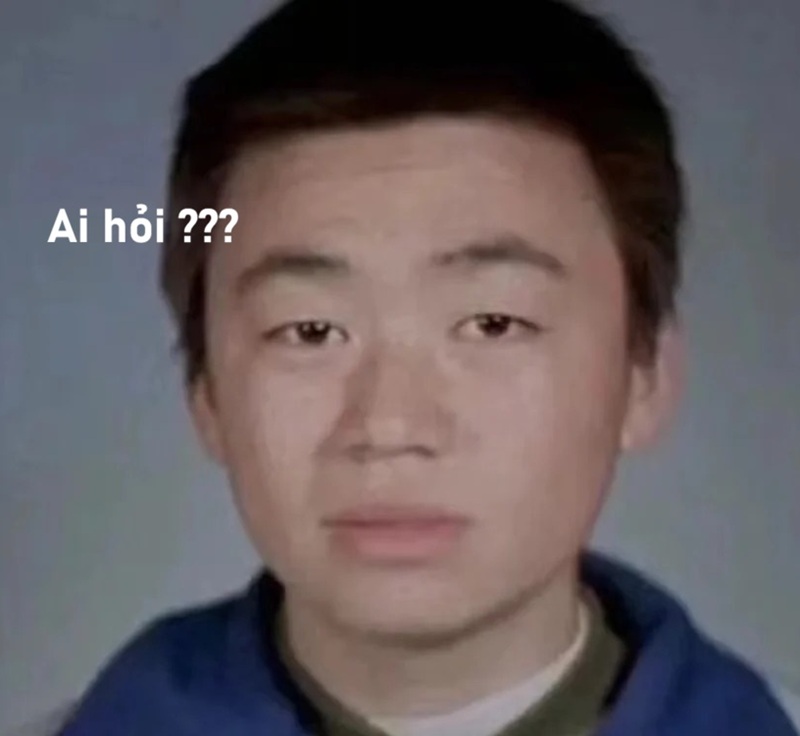 meme ai hỏi 33