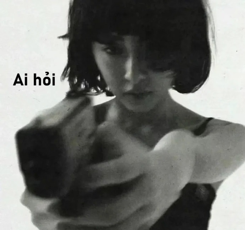 meme ai hỏi 37