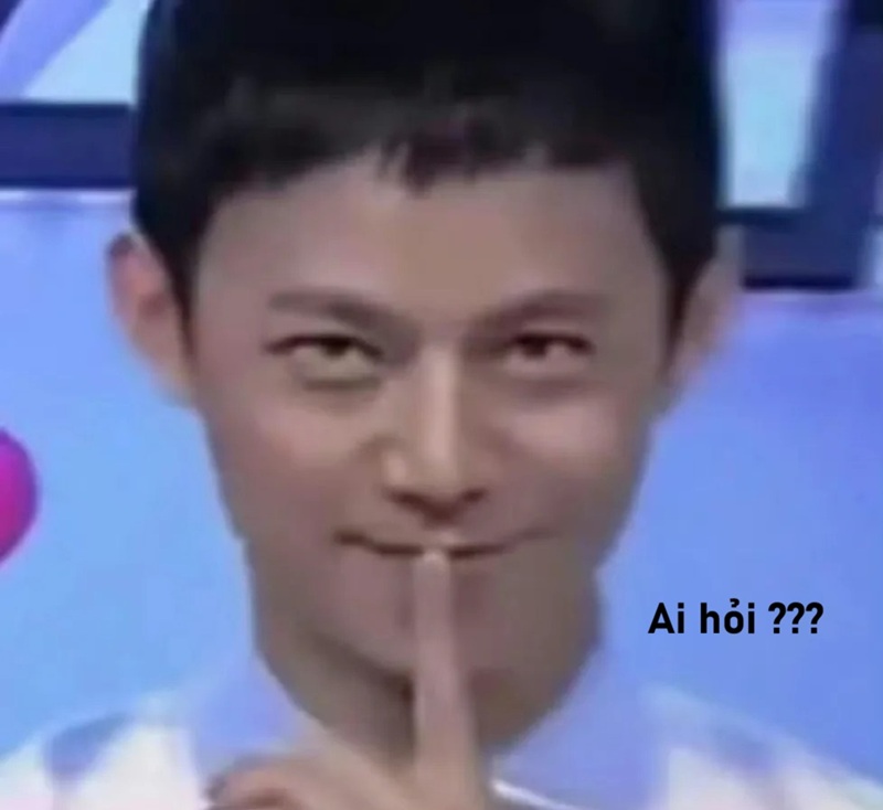 meme ai hỏi 4