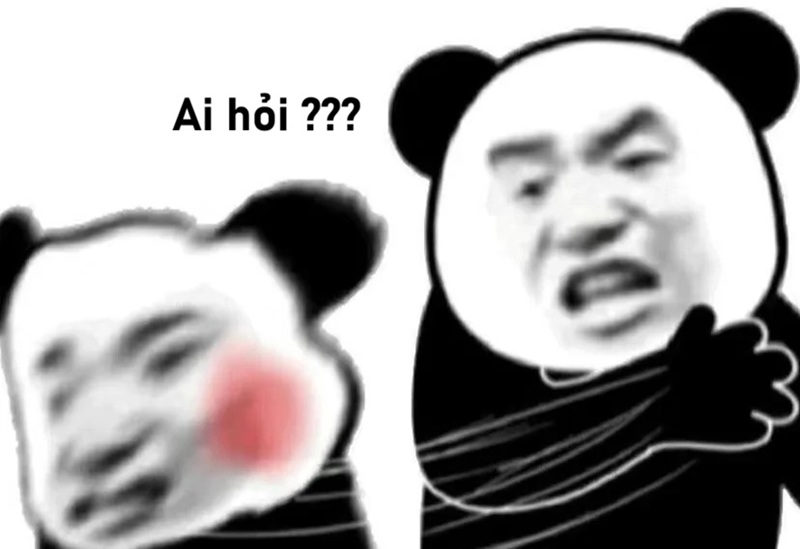 meme ai hỏi 5