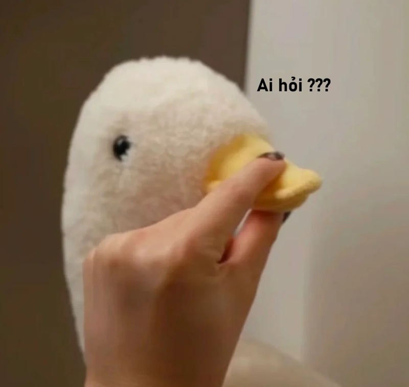 meme ai hỏi 6