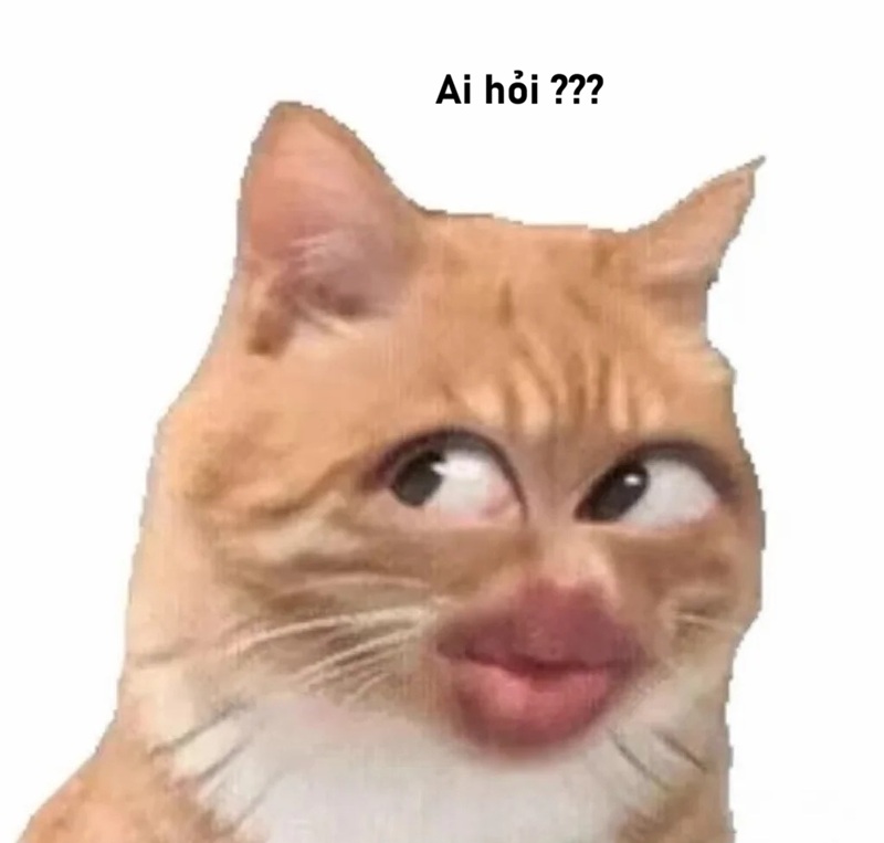 meme ai hỏi 7