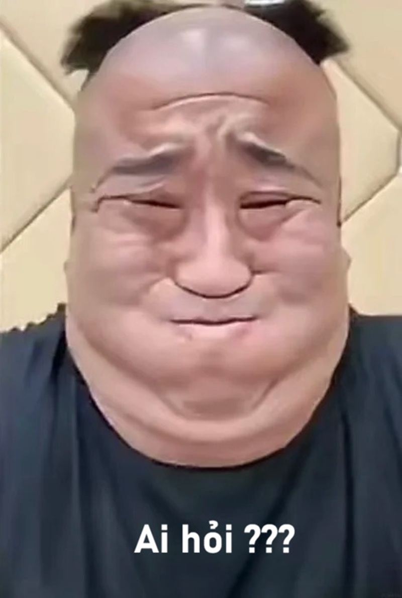 meme ai hỏi 8