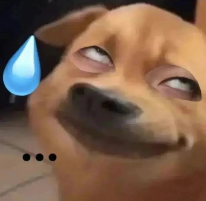 meme bất lực 13