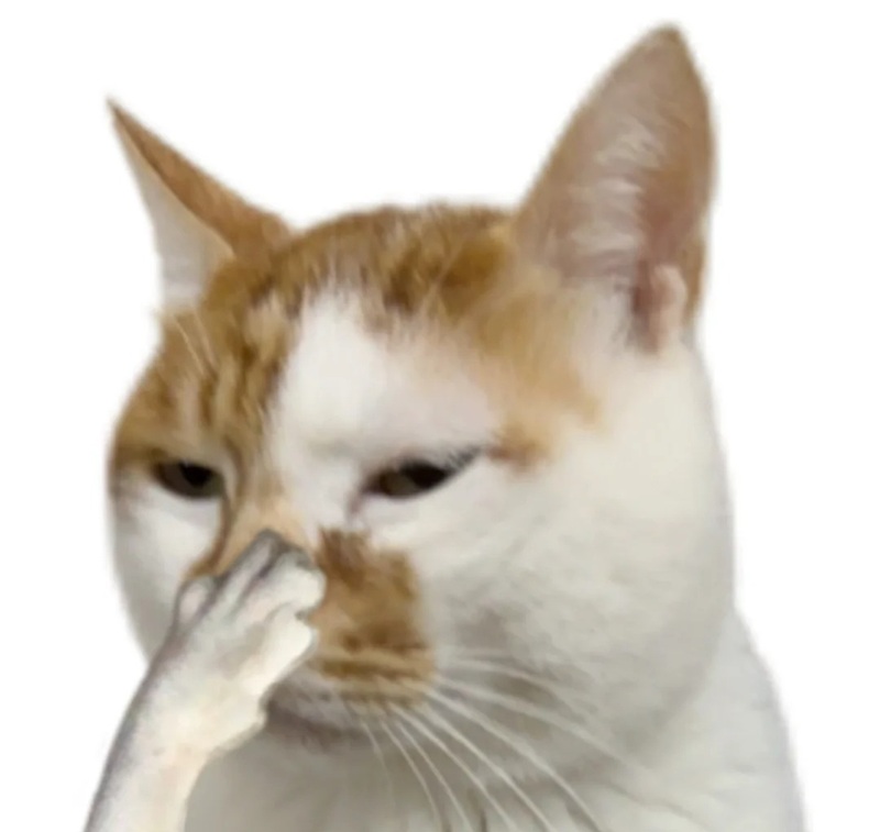 meme bất lực 21