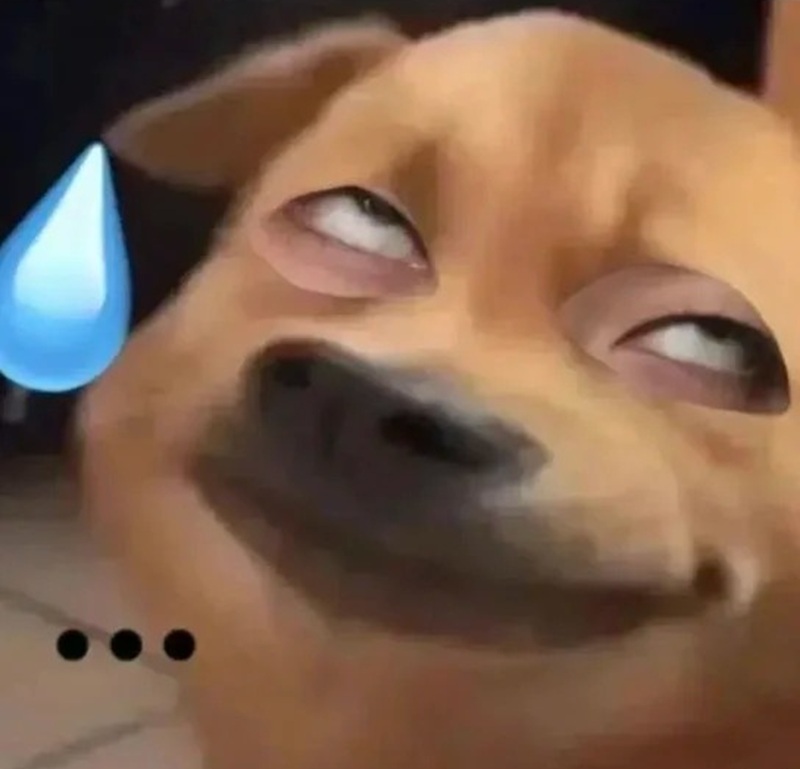 meme bất lực 9