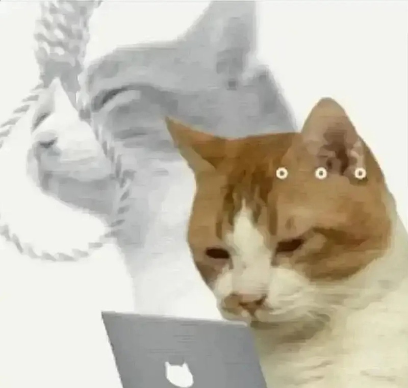 meme buồn 22