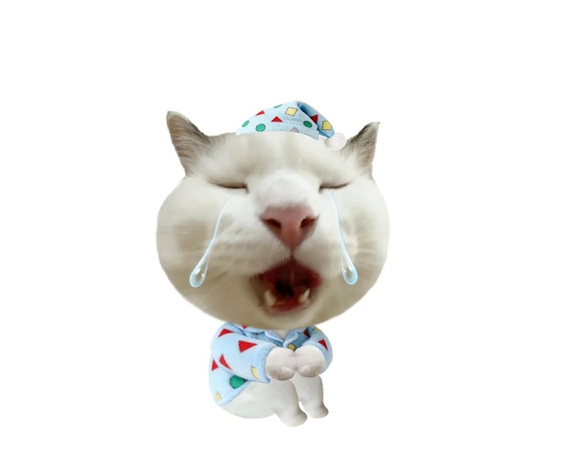 meme buồn 6
