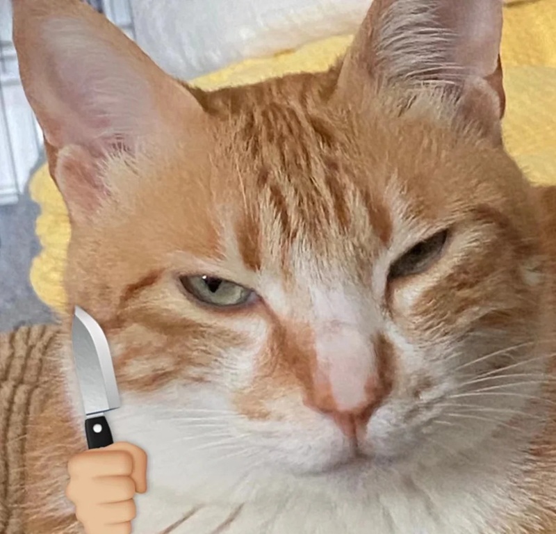 meme cầm dao 15