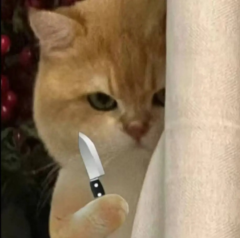 meme cầm dao 36