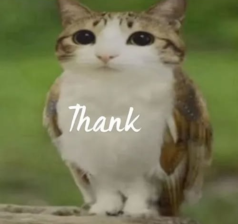 meme cảm ơn 1