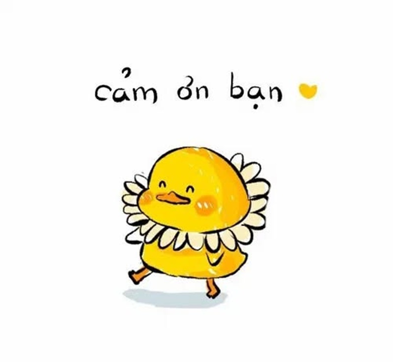 meme cảm ơn 2