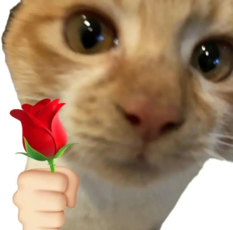 meme cảm ơn 28