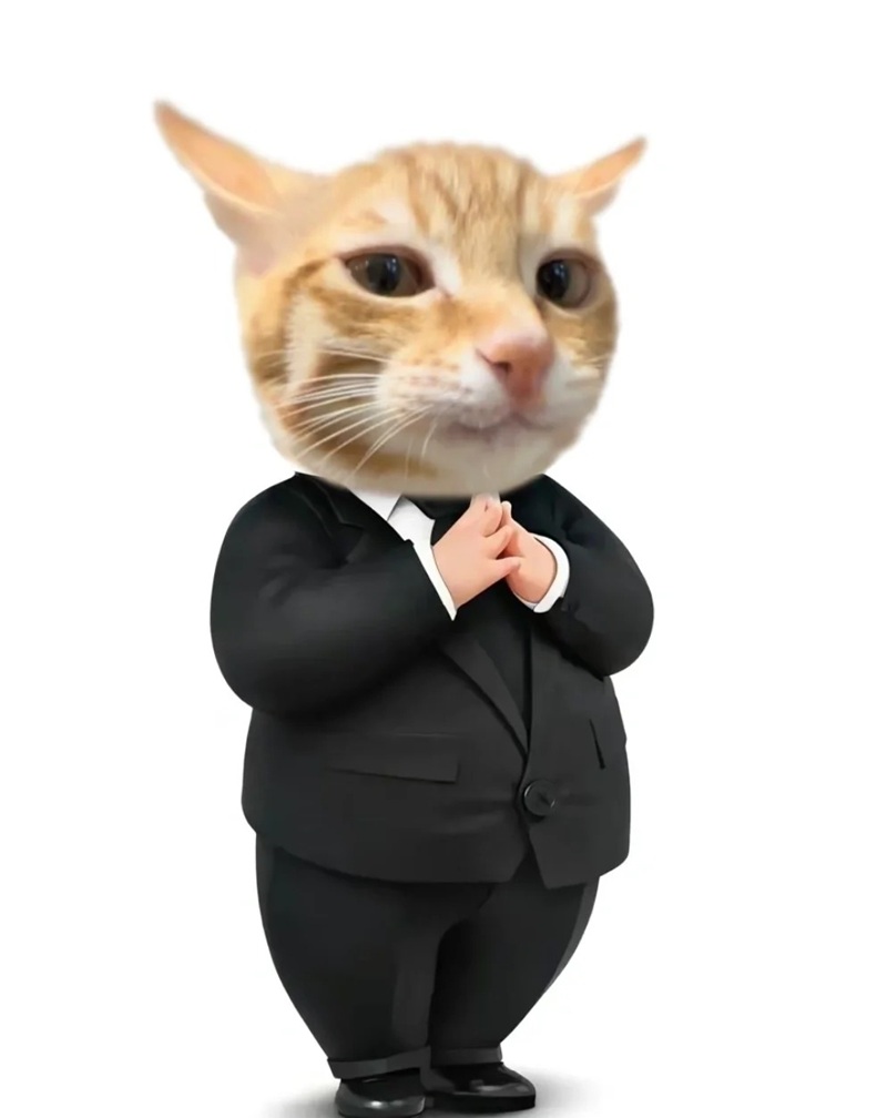 meme chào 26