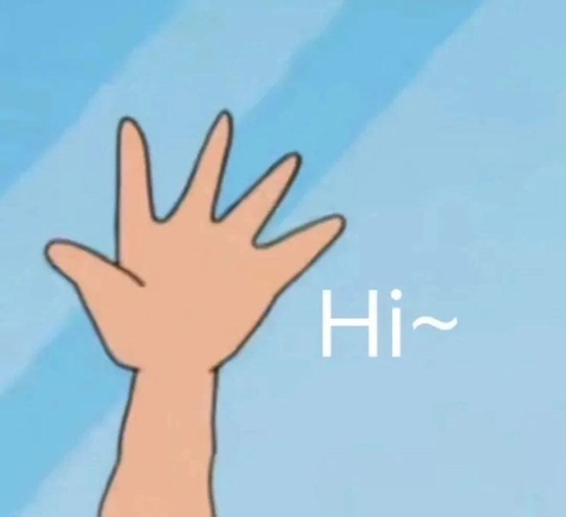 meme chào 29