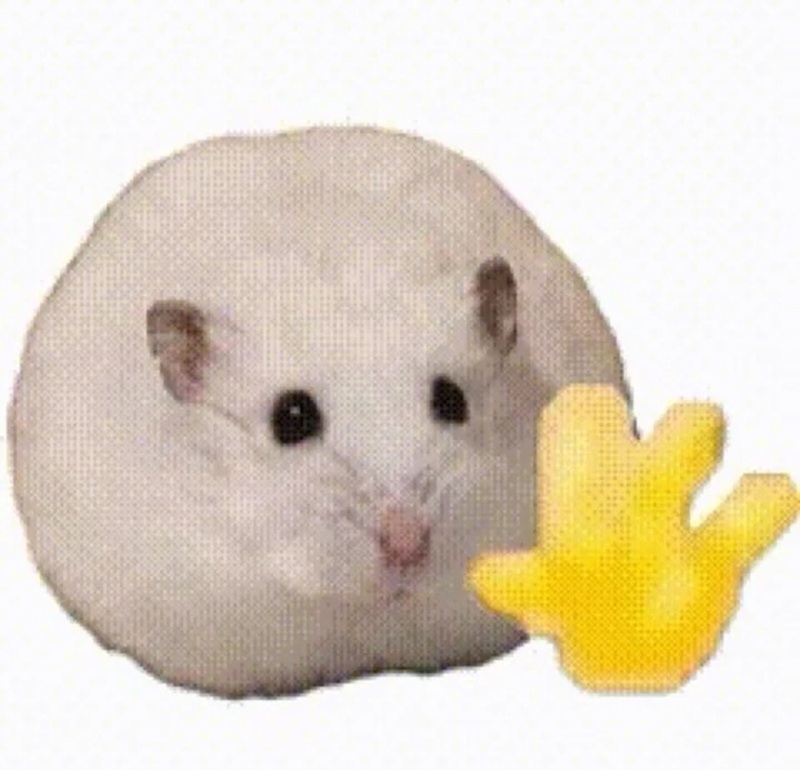 meme chào 36