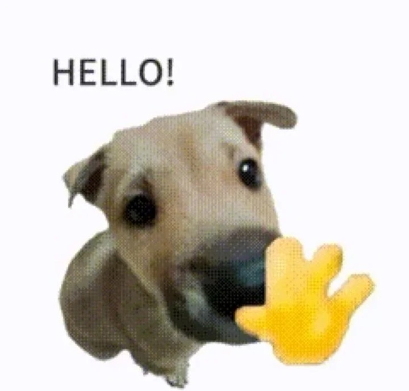 meme chào 37