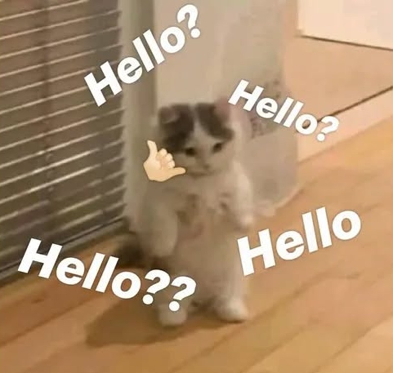 meme chào 6