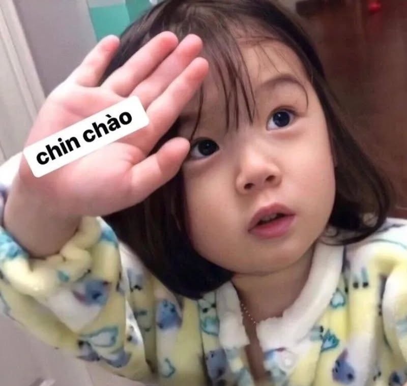 meme chào 8