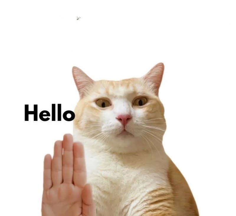 meme chào 9