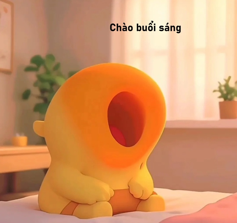 meme chào buổi sáng 17