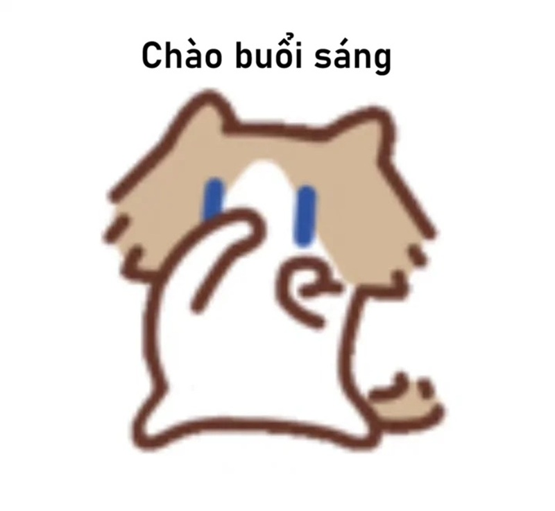 meme chào buổi sáng 18