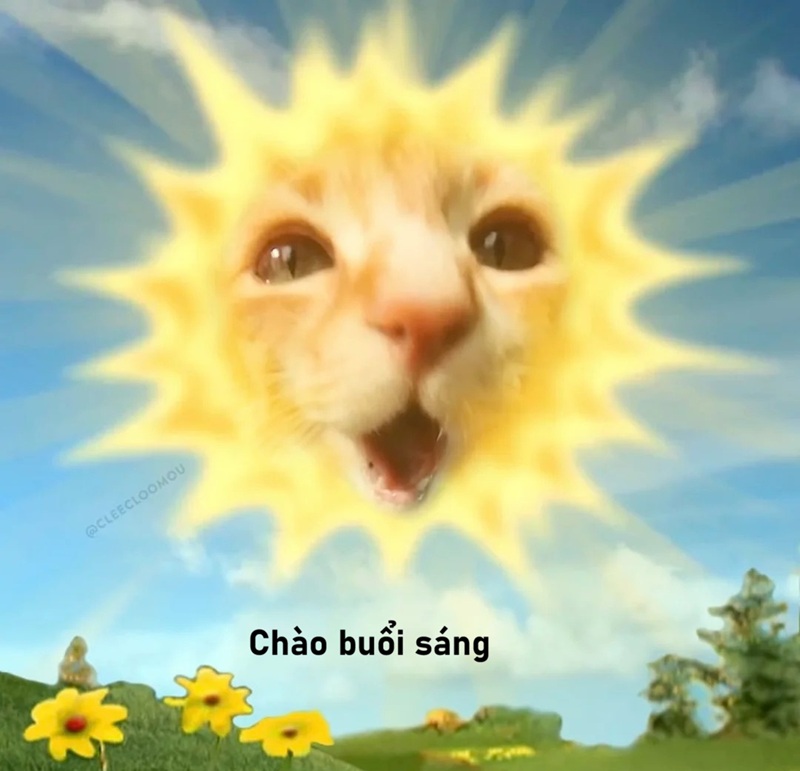 meme chào buổi sáng 37