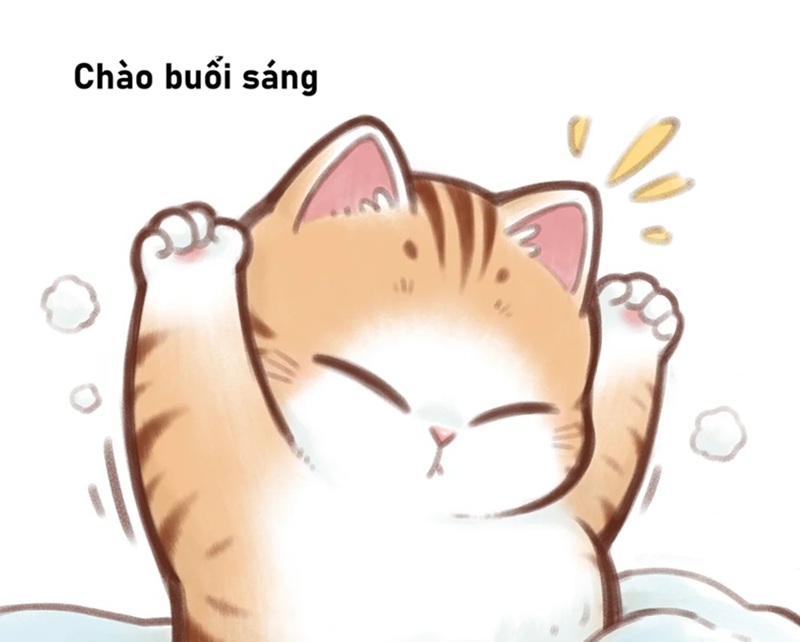 meme chào buổi sáng 38