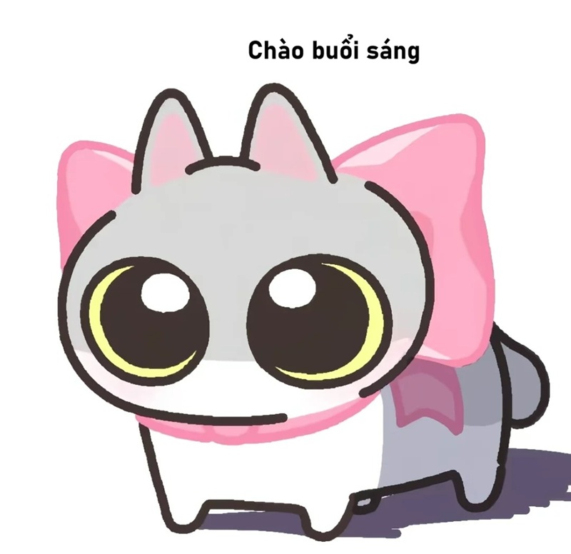 meme chào buổi sáng 9