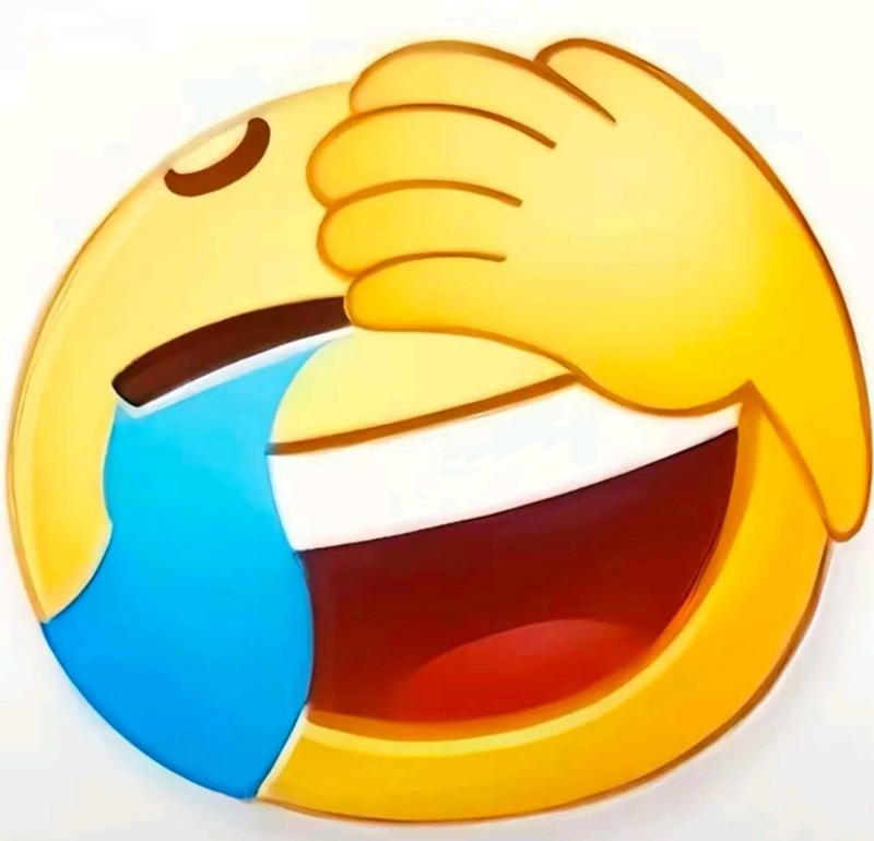 meme che mặt 17