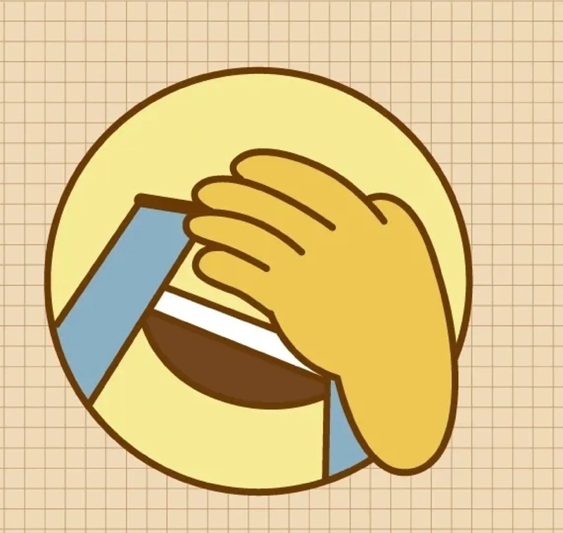 meme che mặt 24