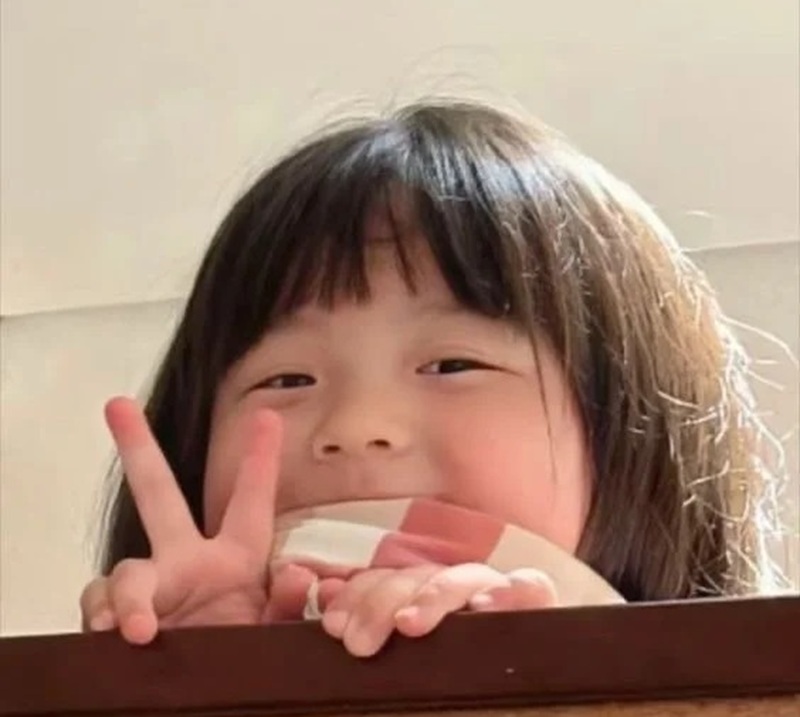 meme che mặt 26