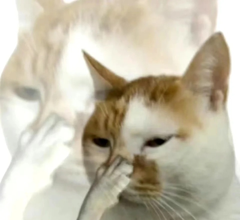 meme che mặt 3