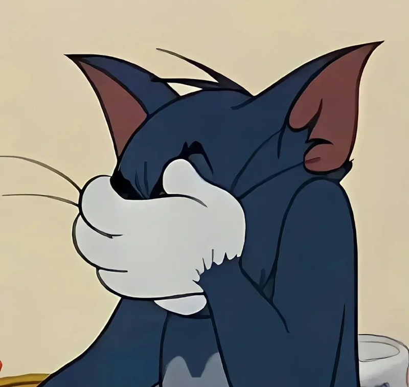 meme che mặt 37