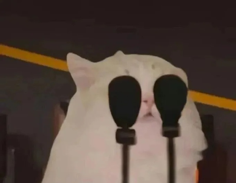 meme che mặt 6