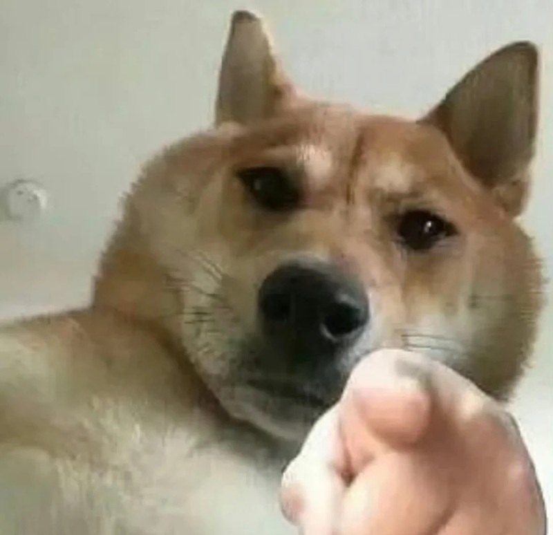 meme chỉ tay 18