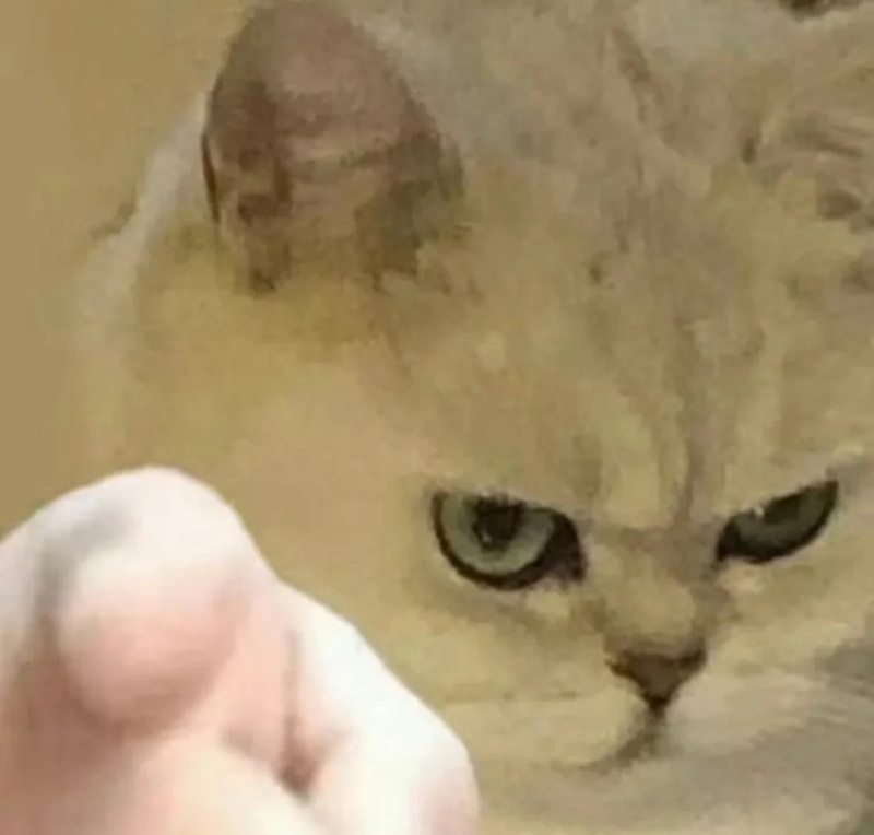 meme chỉ tay 19