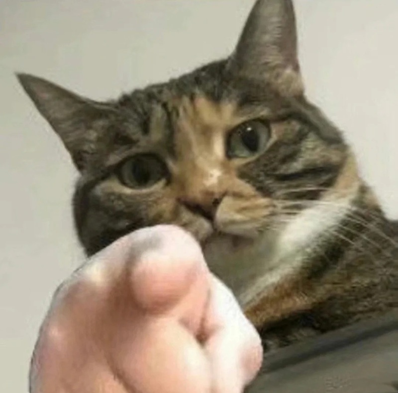 meme chỉ tay 21