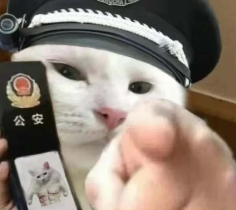 meme chỉ tay 23