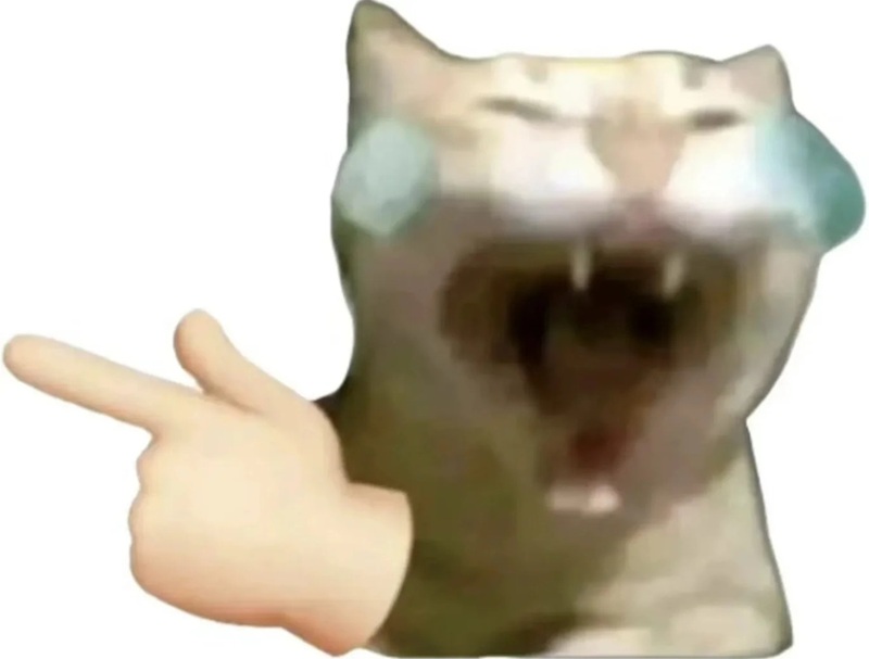 meme chỉ tay 27