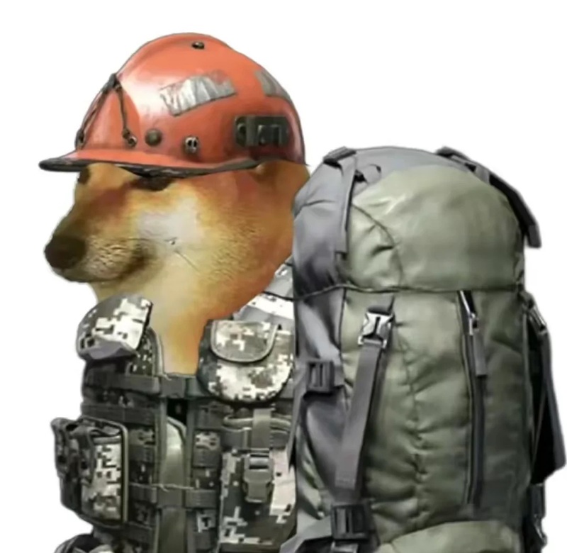 meme chó 34