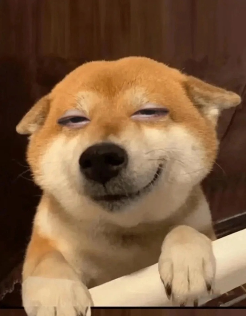 meme chó cười 21