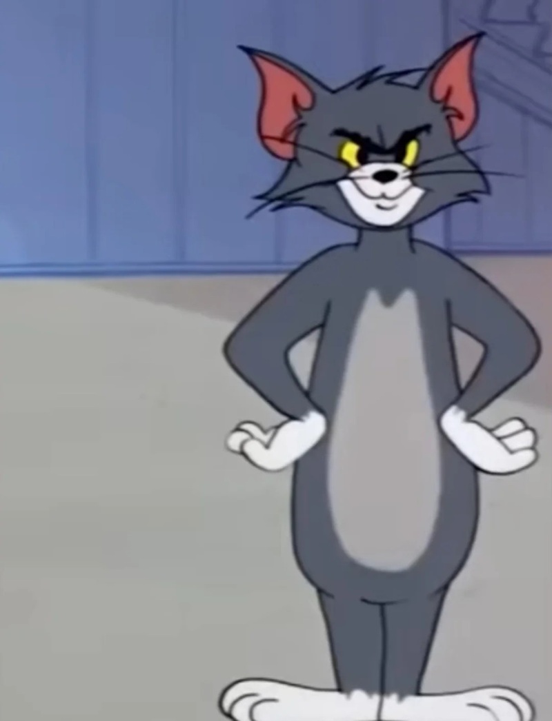 meme chống nạnh 10