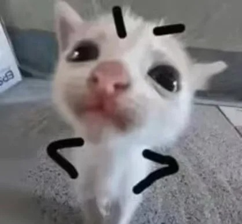 meme chống nạnh 22