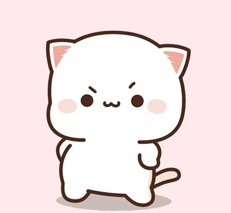 meme chống nạnh 24