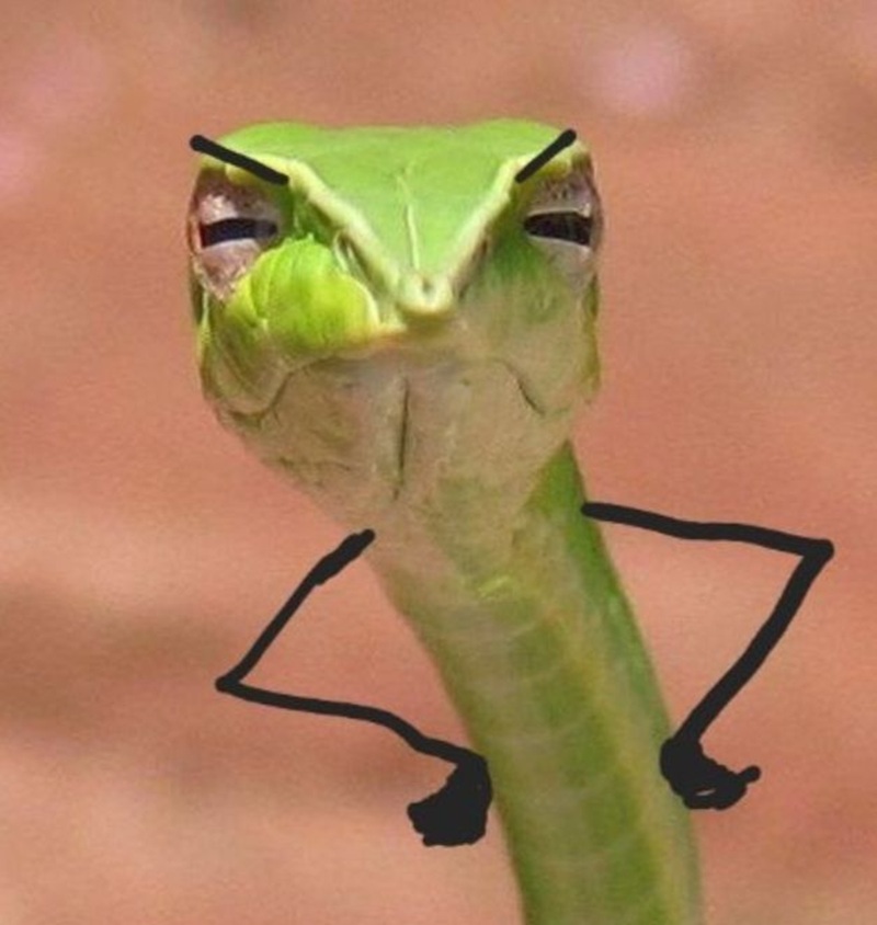 meme chống nạnh 4