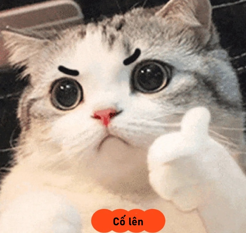 meme cố lên 18